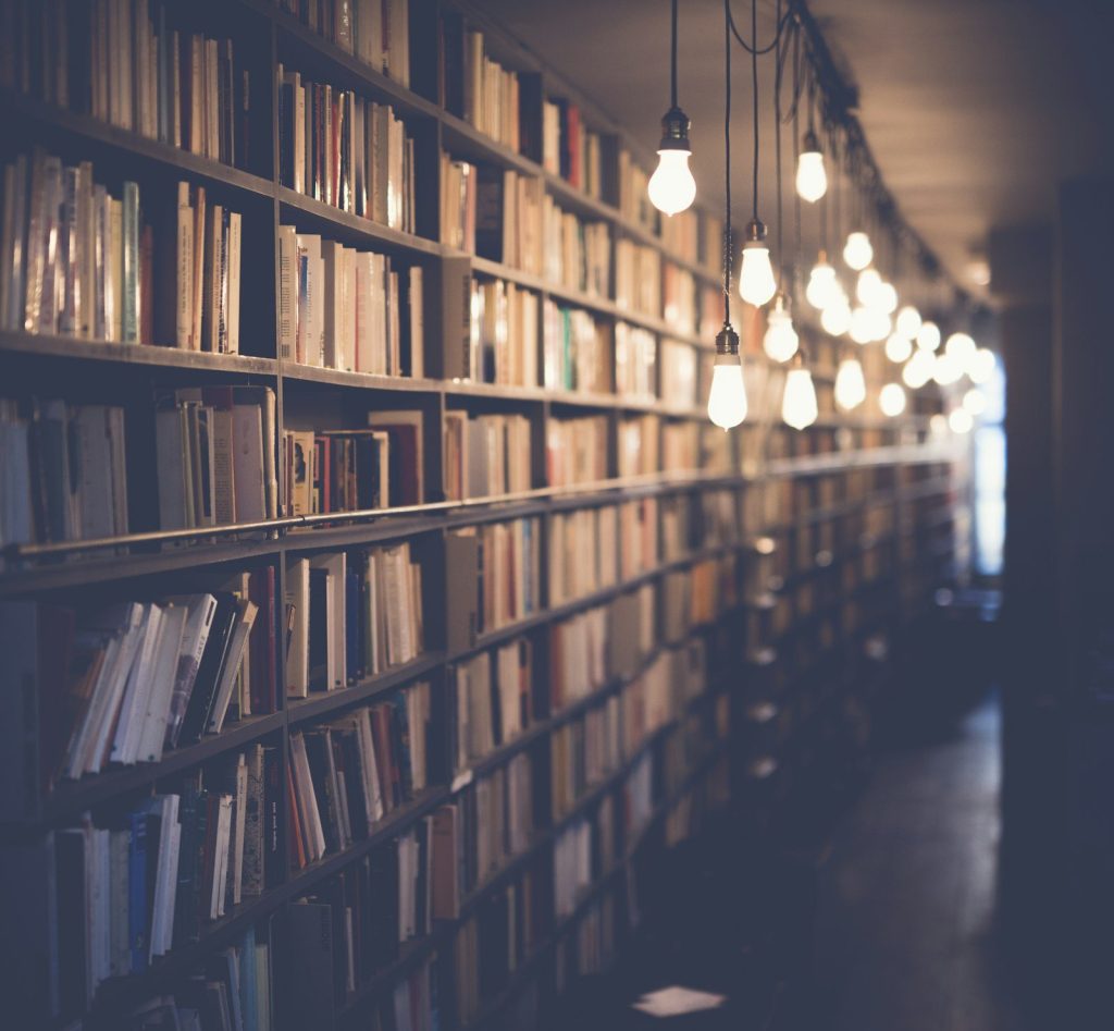 Open book with soft natural lighting for wellness publishing