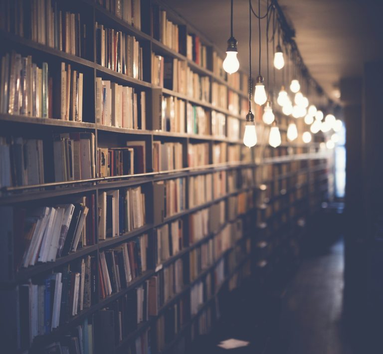 Open book with soft natural lighting for wellness publishing